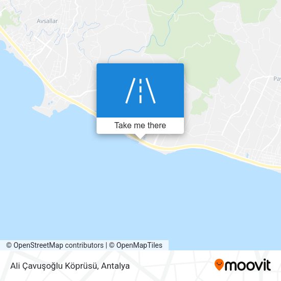 Ali Çavuşoğlu Köprüsü map