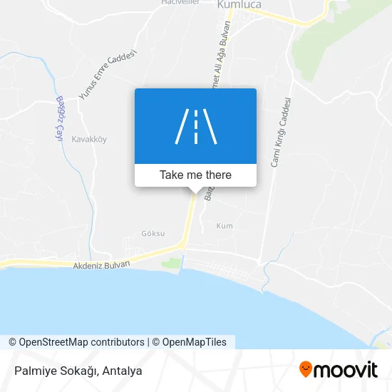 Palmiye Sokağı map
