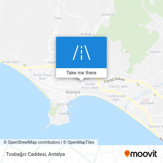 Tosbağcı Caddesi map