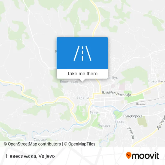Невесињска map