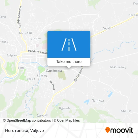 Неготинска map