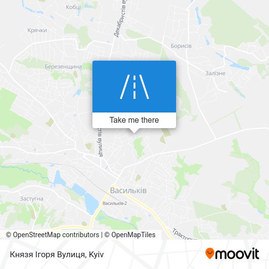 Князя Ігоря Вулиця map