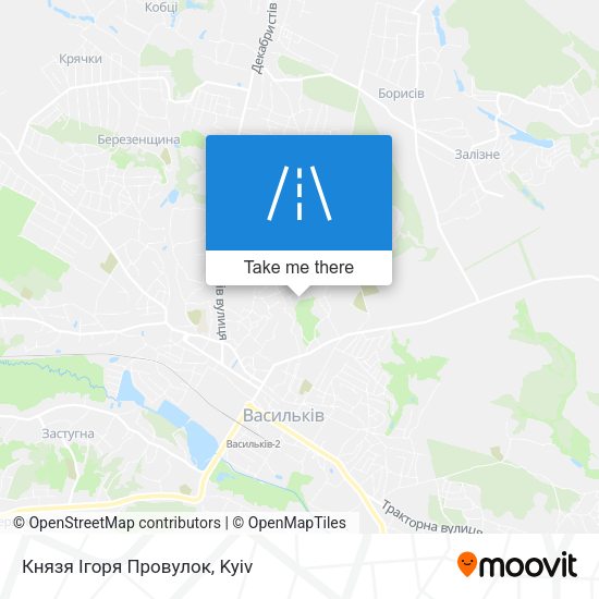 Князя Ігоря Провулок map