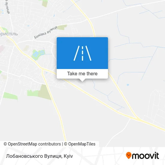 Карта Лобановського Вулиця