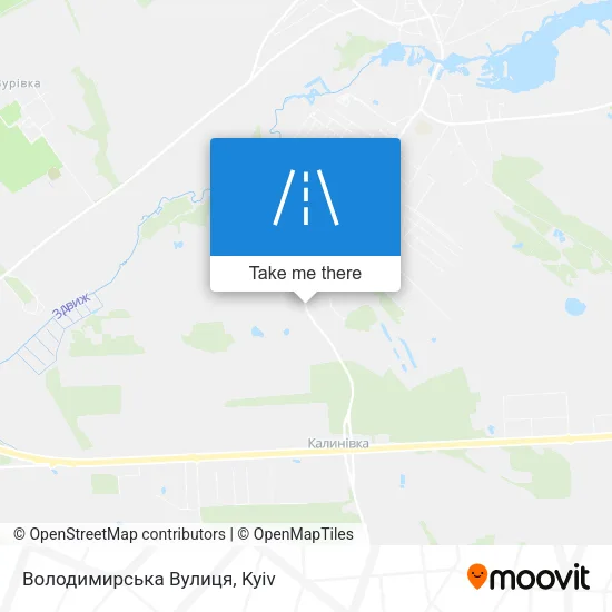 Карта Володимирська Вулиця
