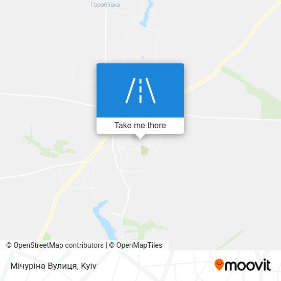 Мічуріна Вулиця map