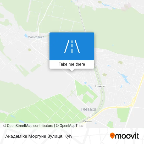 Карта Академіка Моргуна Вулиця