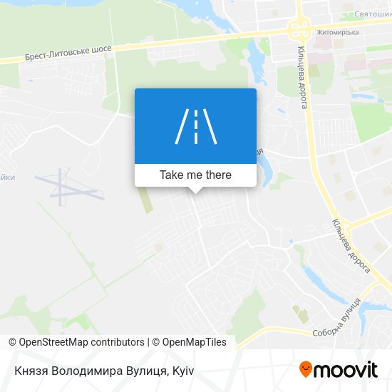 Князя Володимира Вулиця map