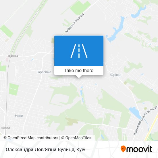 Олександра Лов’Ягіна Вулиця map