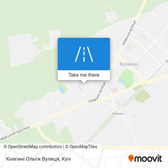 Княгині Ольги Вулиця map