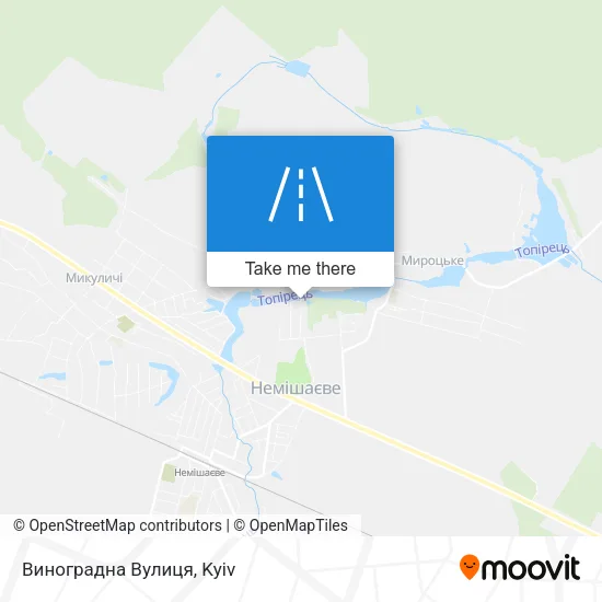 Карта Виноградна Вулиця