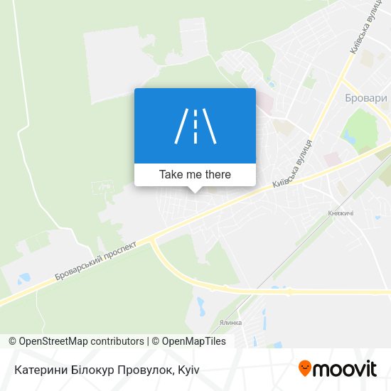 Катерини Білокур Провулок map