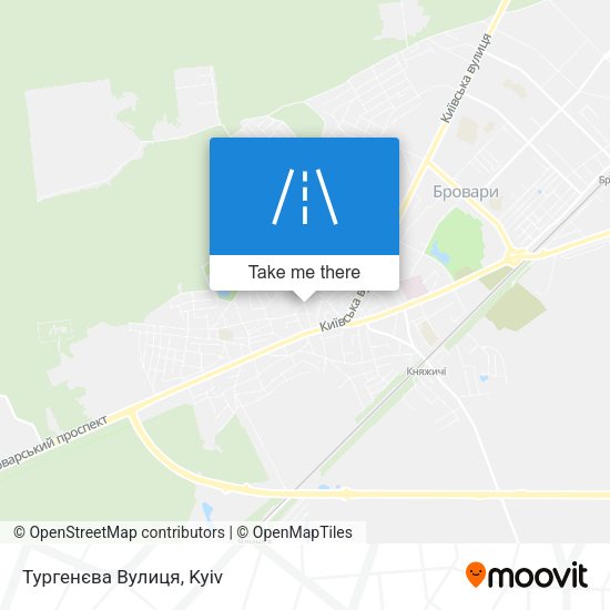 Тургенєва Вулиця map