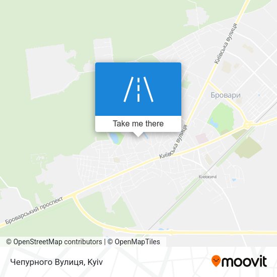 Чепурного Вулиця map
