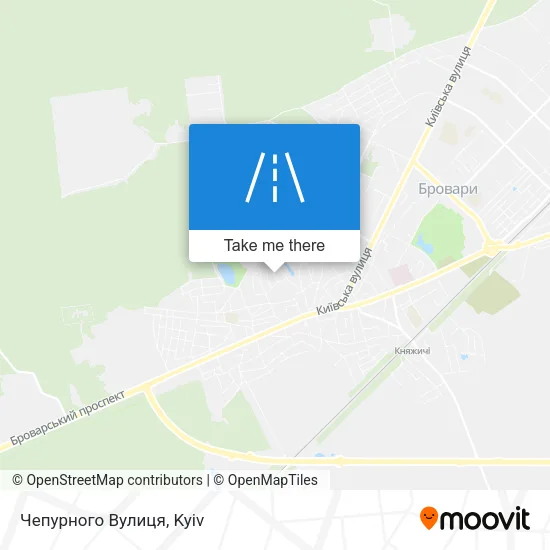 Карта Чепурного Вулиця
