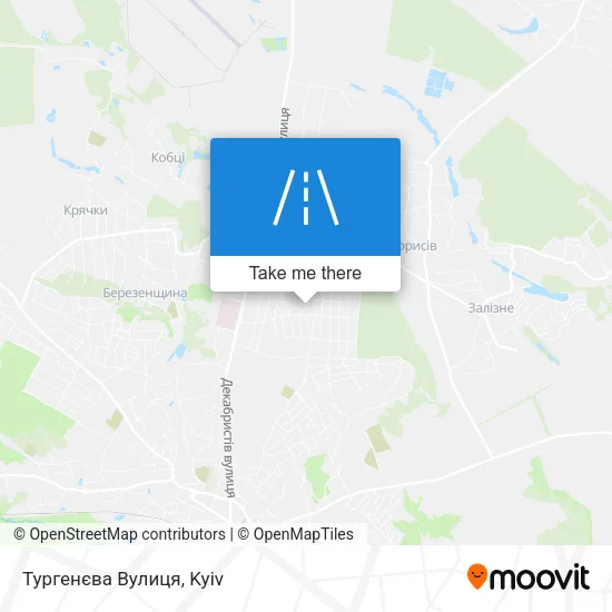 Карта Тургенєва Вулиця