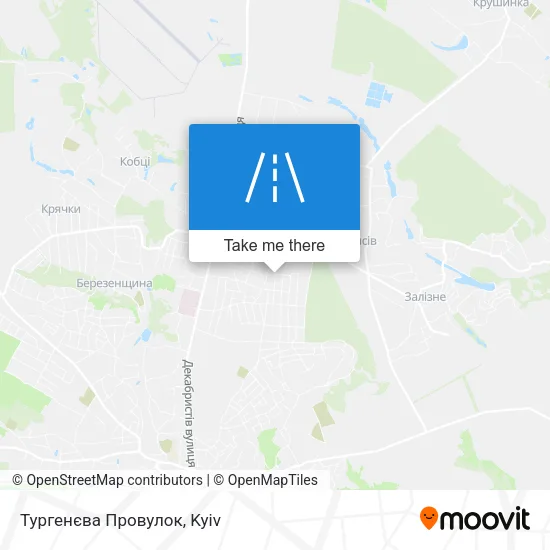 Карта Тургенєва Провулок