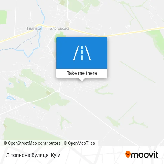 Карта Літописна Вулиця