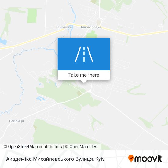 Карта Академіка Михайлевського Вулиця