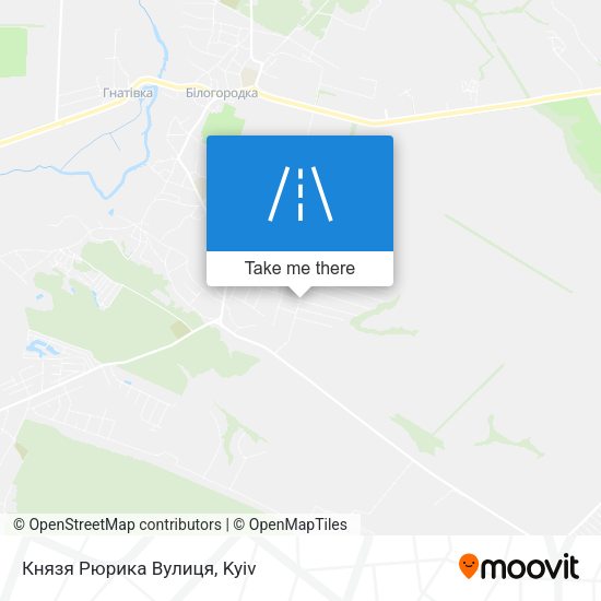 Князя Рюрика Вулиця map
