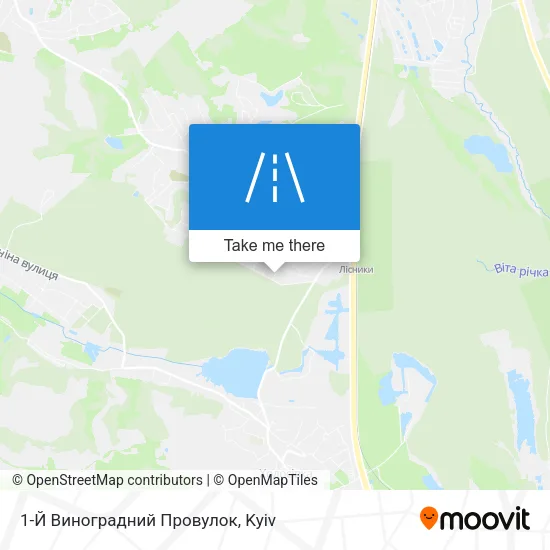Карта 1-Й Виноградний Провулок
