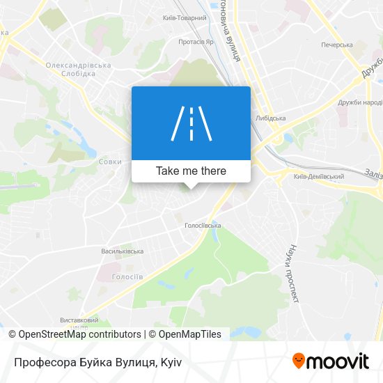 Професора Буйка Вулиця map