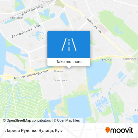 Карта Лариси Руденко Вулиця