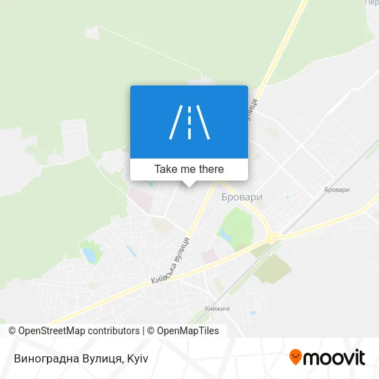 Карта Виноградна Вулиця