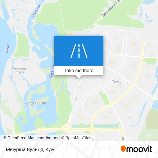 Карта Мічуріна Вулиця