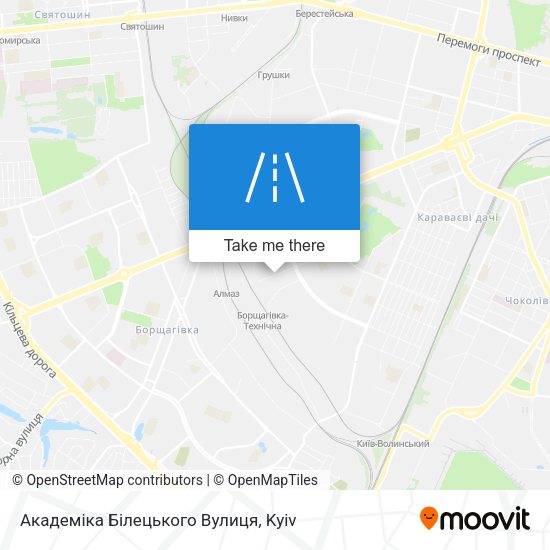 Академіка Білецького Вулиця map