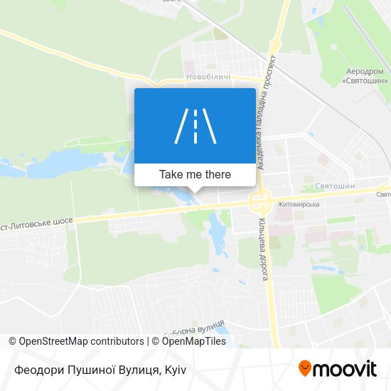 Феодори Пушиної Вулиця map