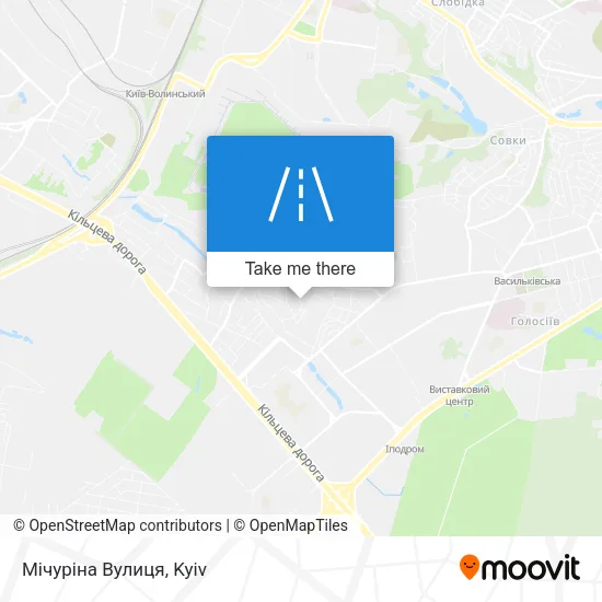 Карта Мічуріна Вулиця
