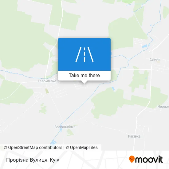 Карта Прорізна Вулиця