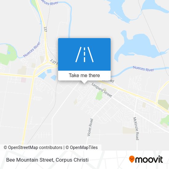 Bee Mountain Street map