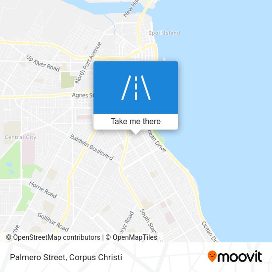 Mapa de Palmero Street