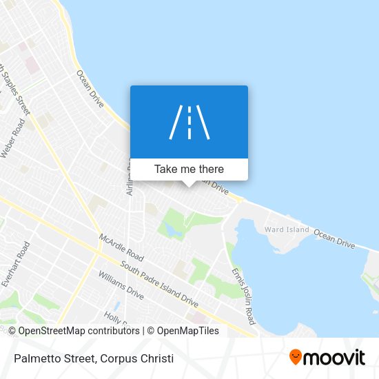 Mapa de Palmetto Street