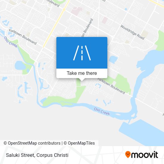 Mapa de Saluki Street