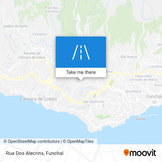 Rua Dos Alecrins map