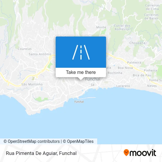 Rua Pimenta De Aguiar map