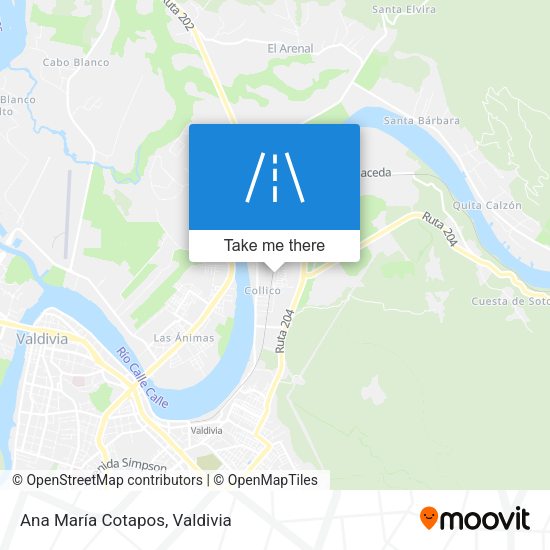 Mapa de Ana María Cotapos