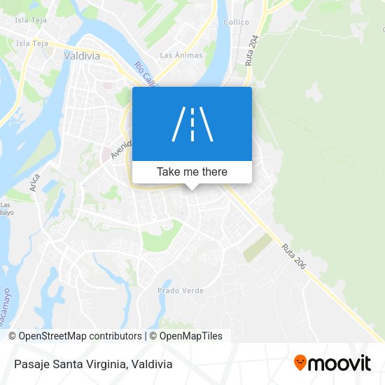 Mapa de Pasaje Santa Virginia