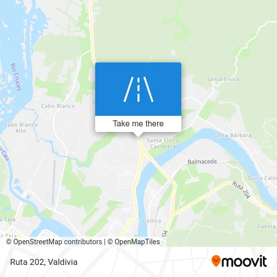 Ruta 202 map