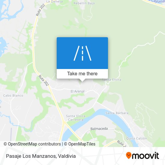 Pasaje Los Manzanos map