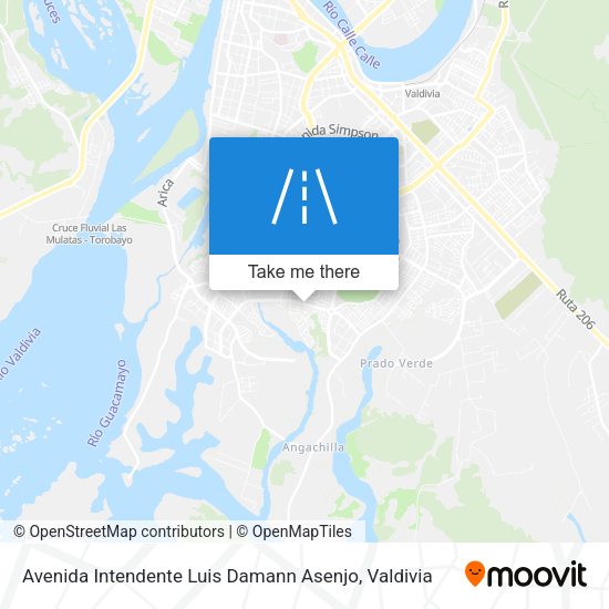 Avenida Intendente Luis Damann Asenjo map
