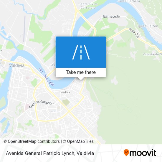 Avenida General Patricio Lynch map