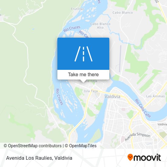 Mapa de Avenida Los Raulíes