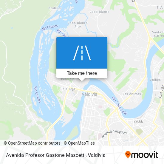 Mapa de Avenida Profesor Gastone Mascetti