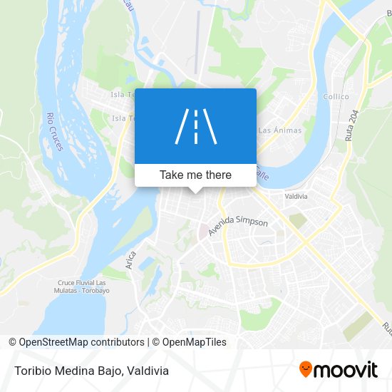Mapa de Toribio Medina Bajo