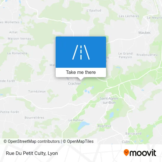 Rue Du Petit Culty map