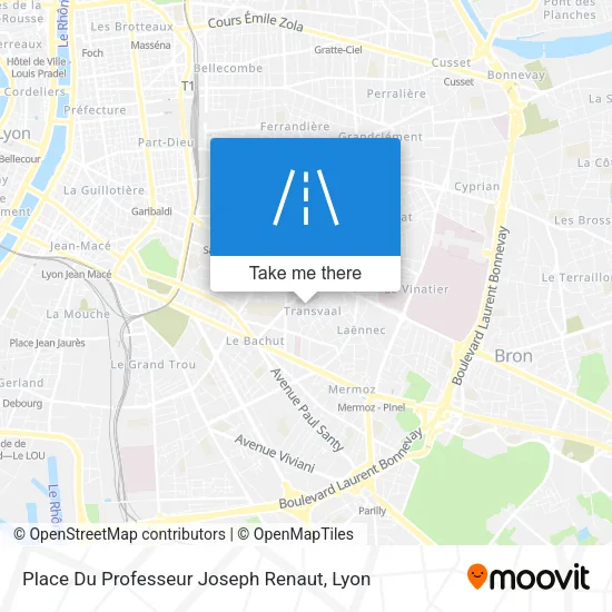 Place Du Professeur Joseph Renaut map